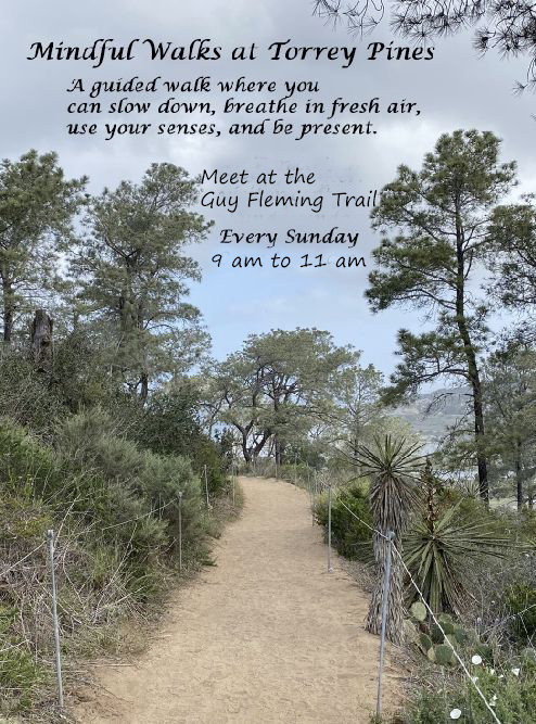 Mindful Walks at Torrey Pines